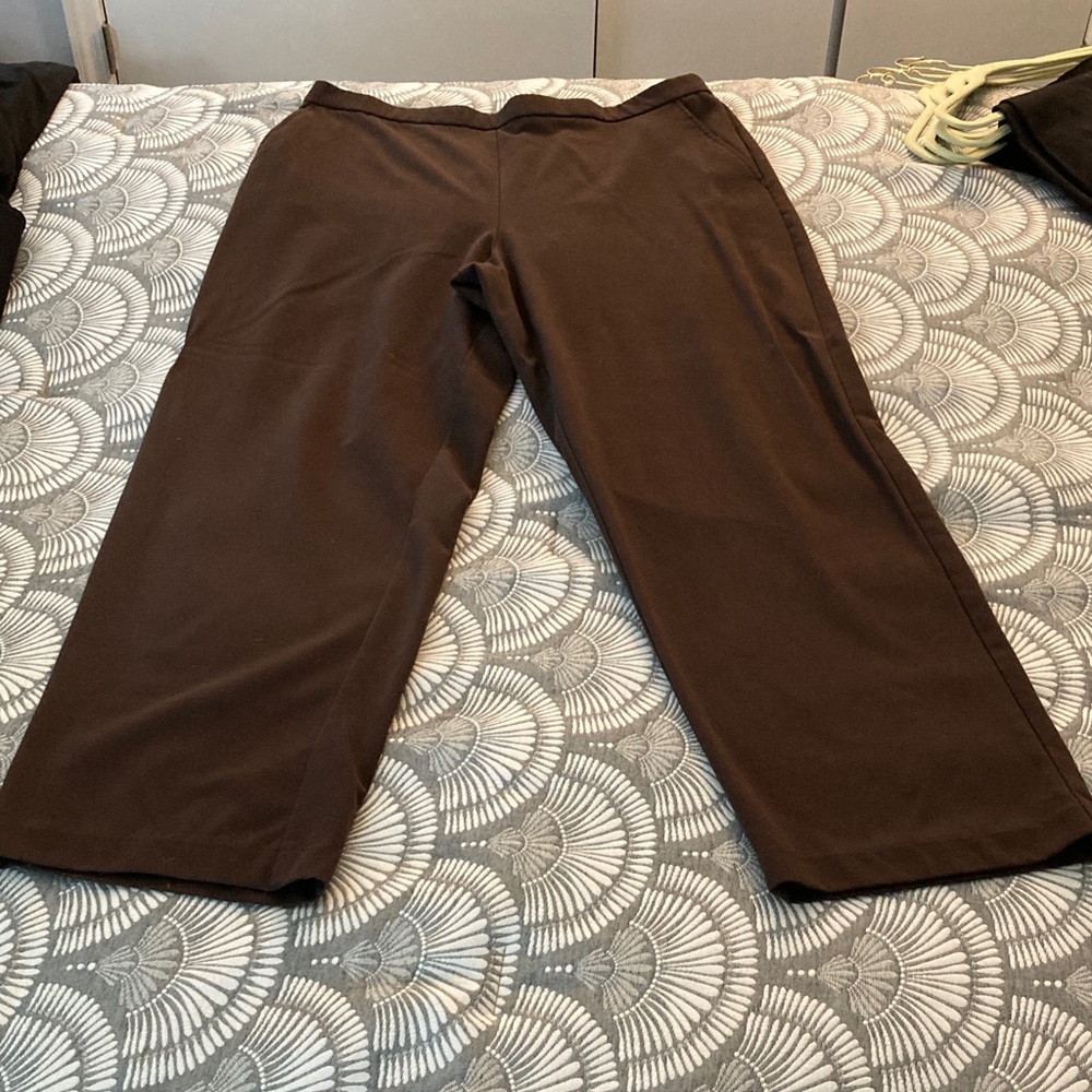 Briggs New York women’s Dark Brown pants